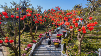 Du xuân Bính Ngọ 2026